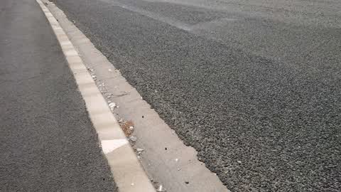 Roading/Streets, a report photo