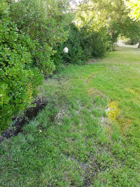 Water Supply, a report photo