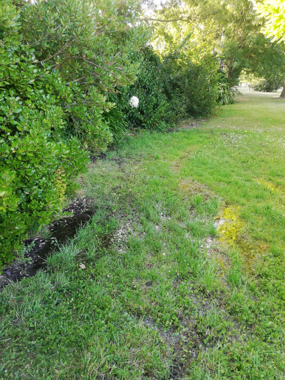 The photograph attached to this water supply report