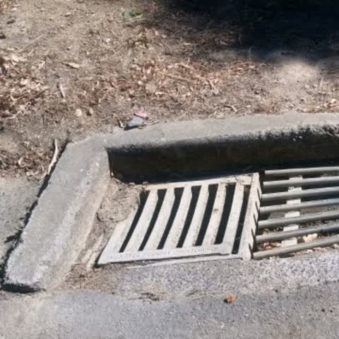 Wastewater/Stormwater, a report photo