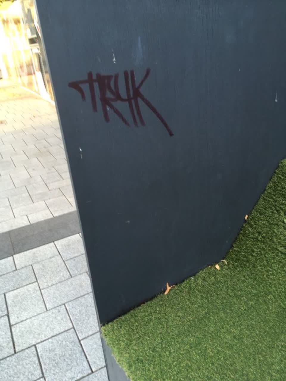 The photograph attached to this graffiti report