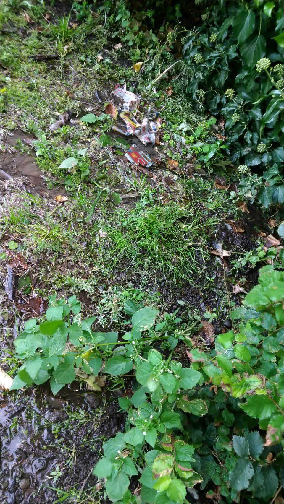 The photograph attached to this water supply report