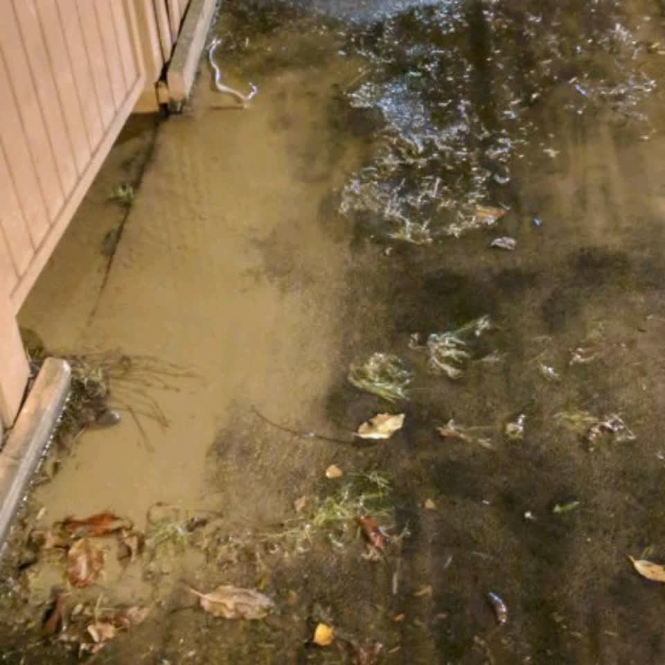 The photograph attached to this water supply report