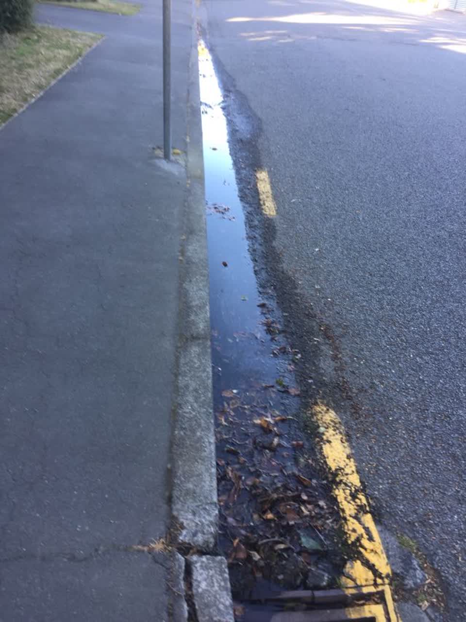 The photograph attached to this water supply report