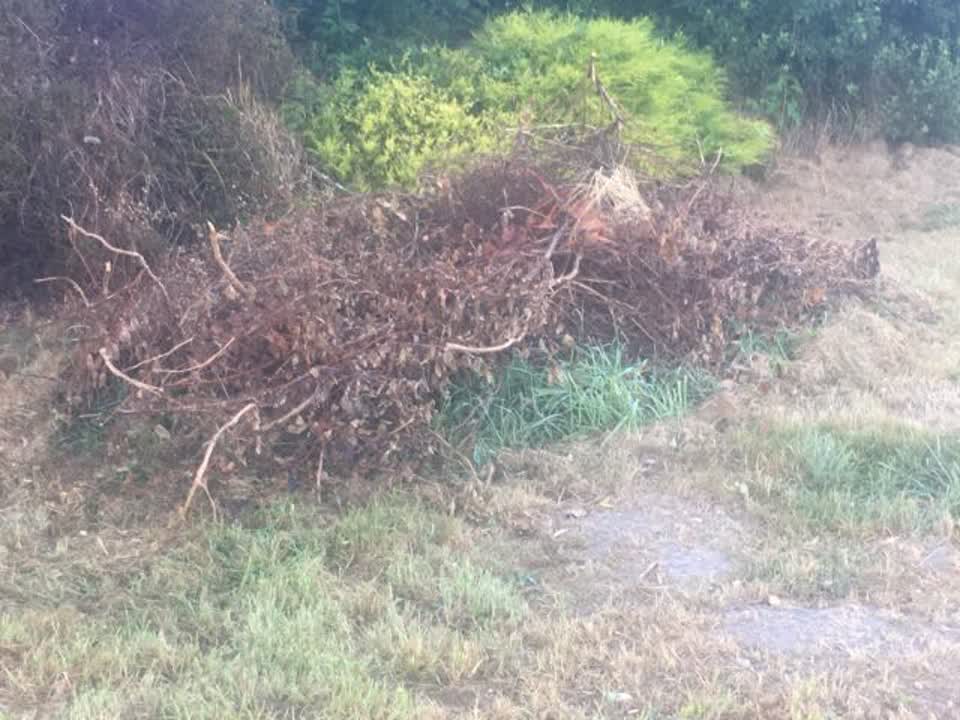 The photograph attached to this parks report