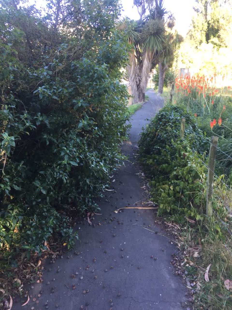 The photograph attached to this roading/streets report