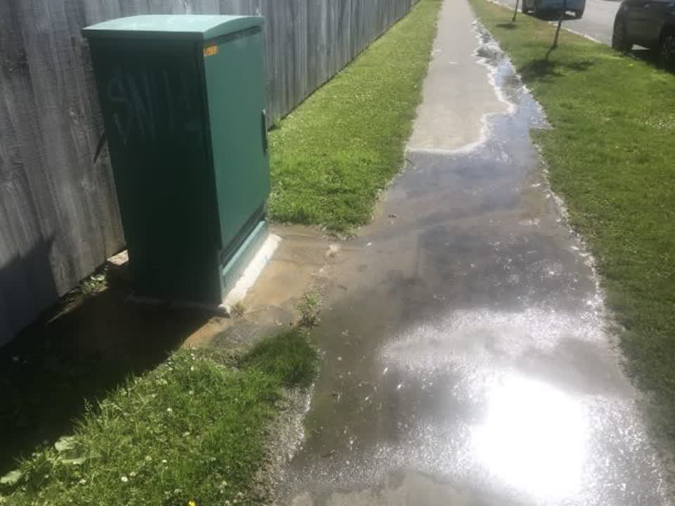 The photograph attached to this water supply report