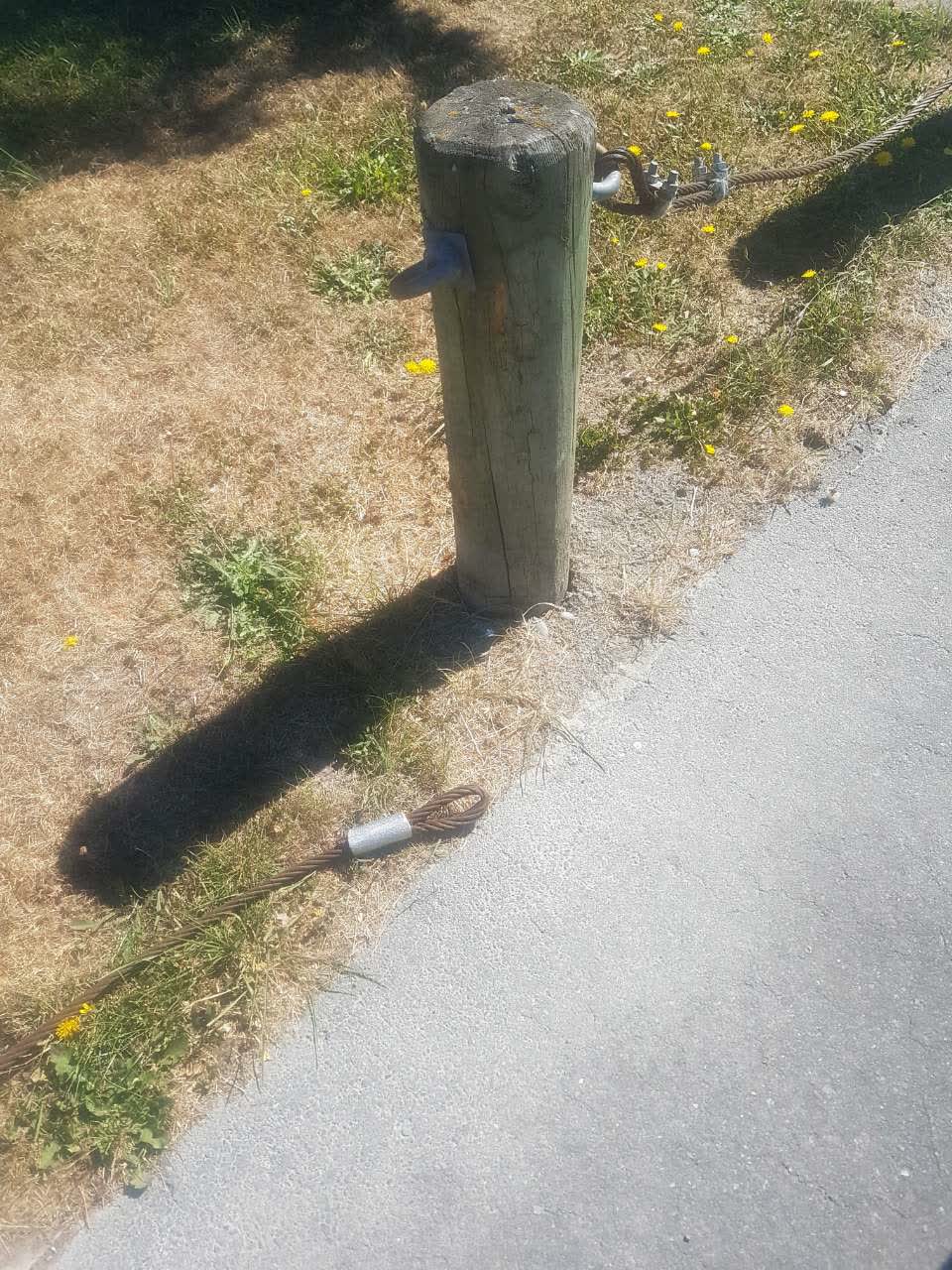 The photograph attached to this parks report