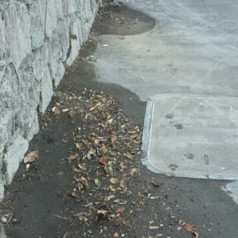 Wastewater/Stormwater, a report photo
