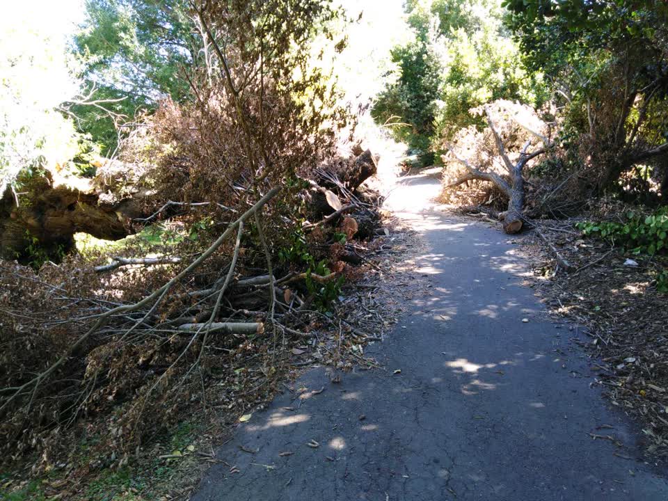 The photograph attached to this parks report