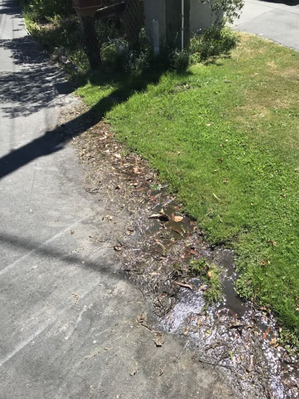 The photograph attached to this water supply report