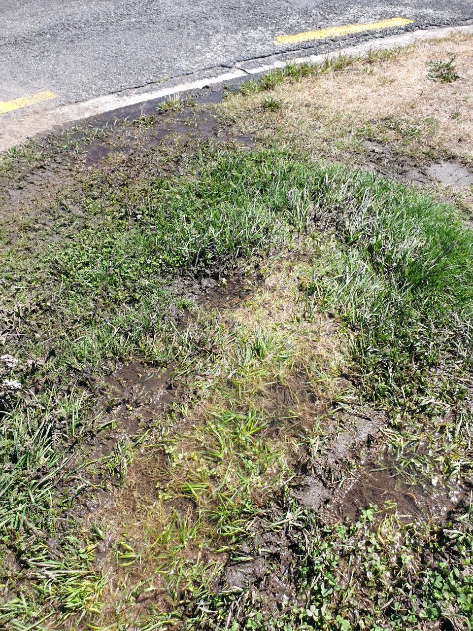 The photograph attached to this water supply report
