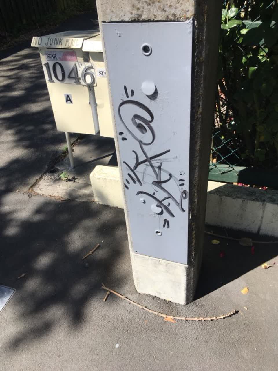 The photograph attached to this graffiti report