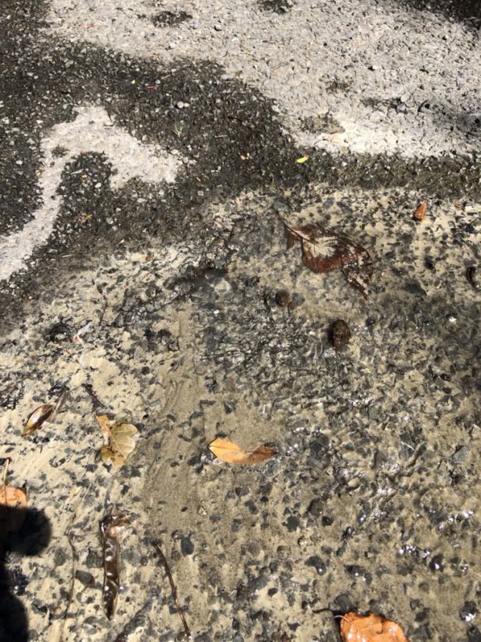 The photograph attached to this water supply report