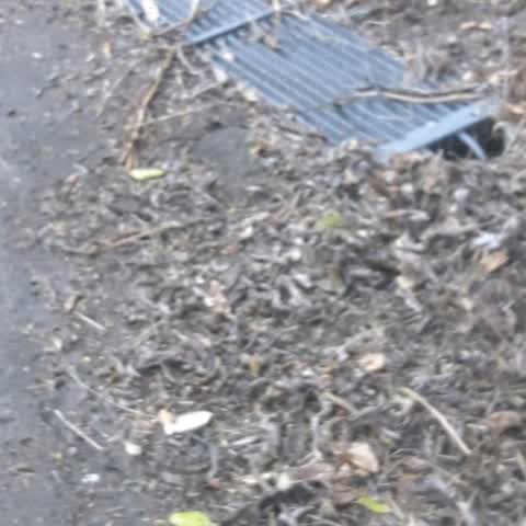Roading/Streets, a report photo