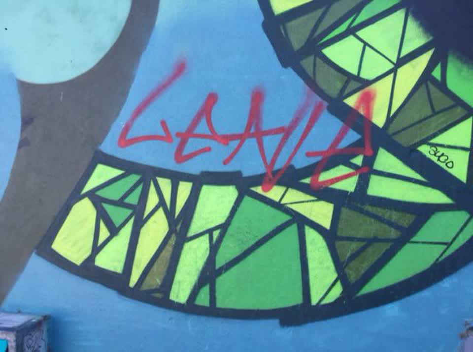 The photograph attached to this graffiti report