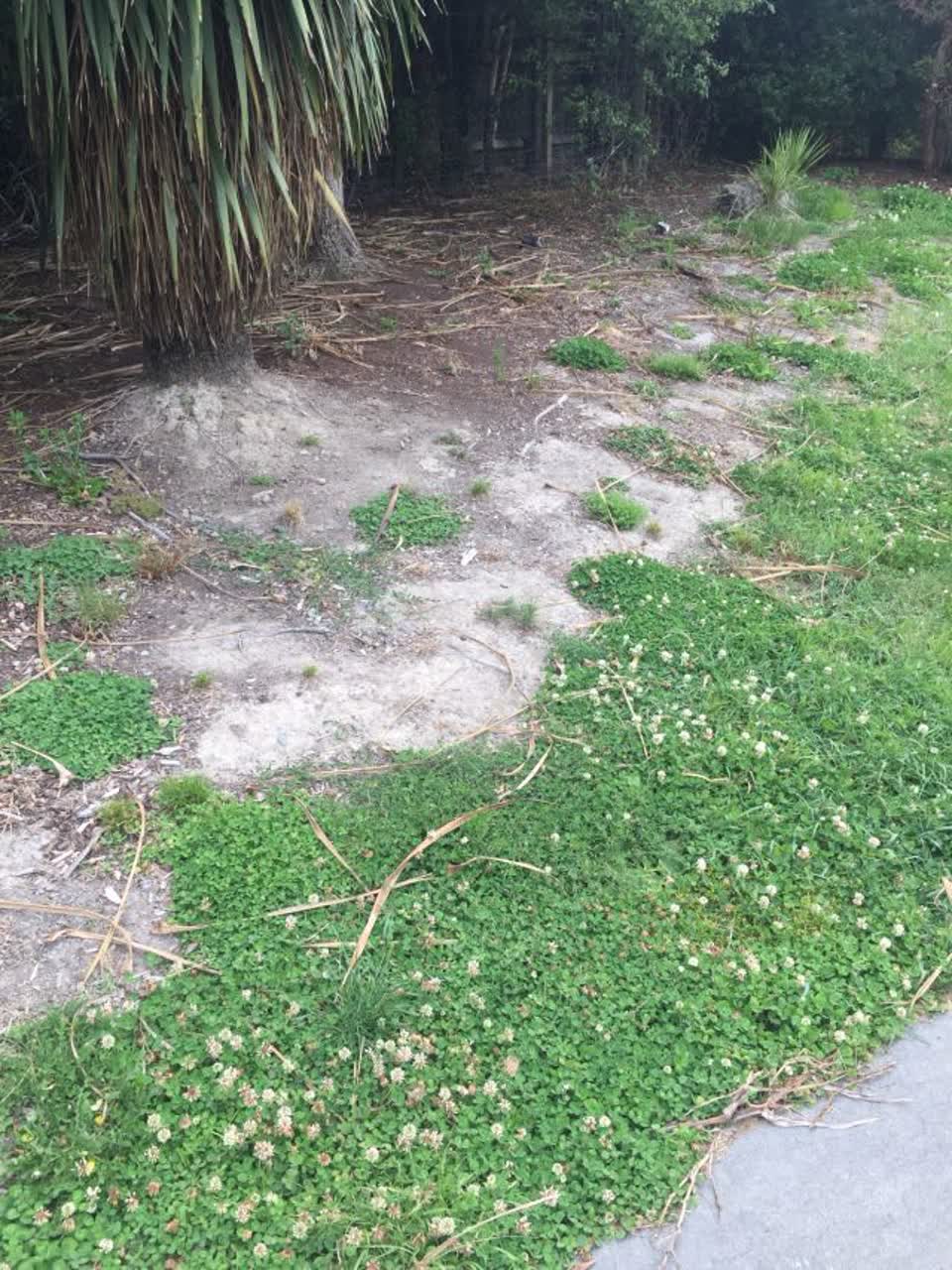 The photograph attached to this parks report