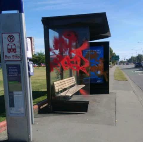 Graffiti, a report photo