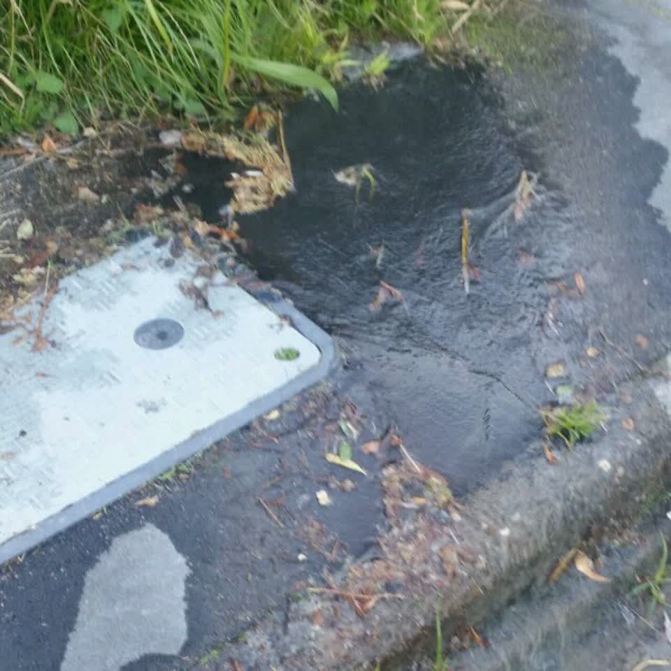 The photograph attached to this water supply report