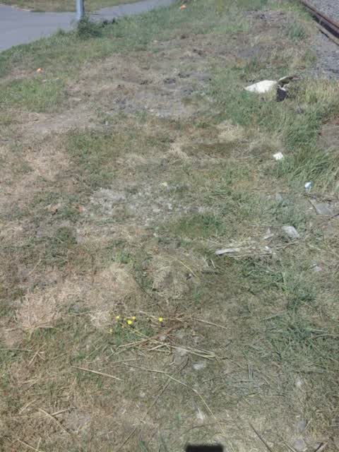 Parks, a report photo
