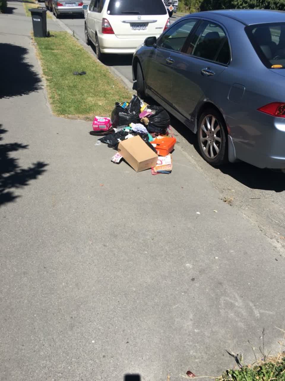 The photograph attached to this rubbish/recycling report
