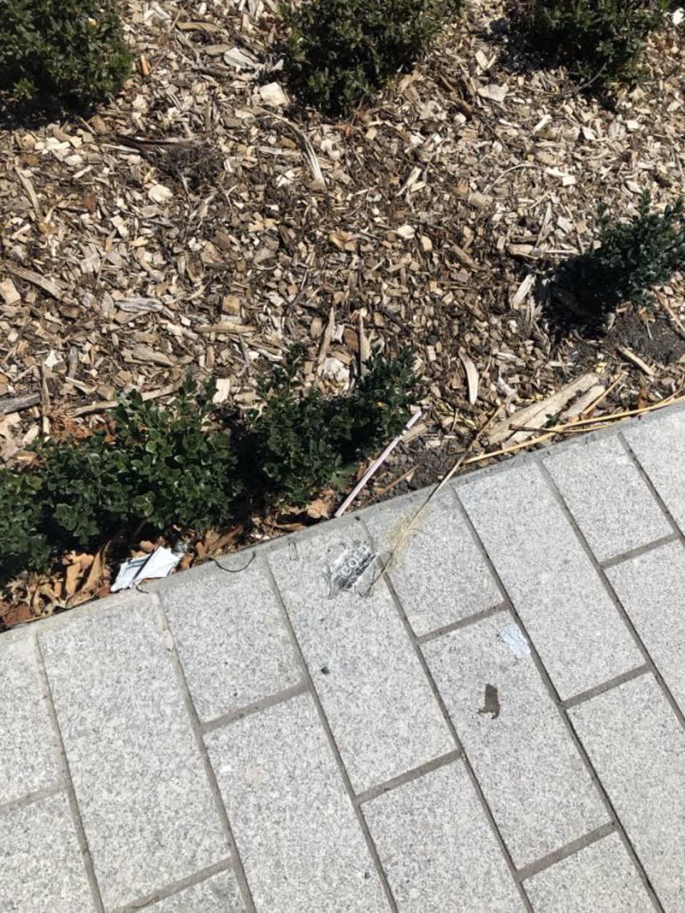 The photograph attached to this rubbish/recycling report
