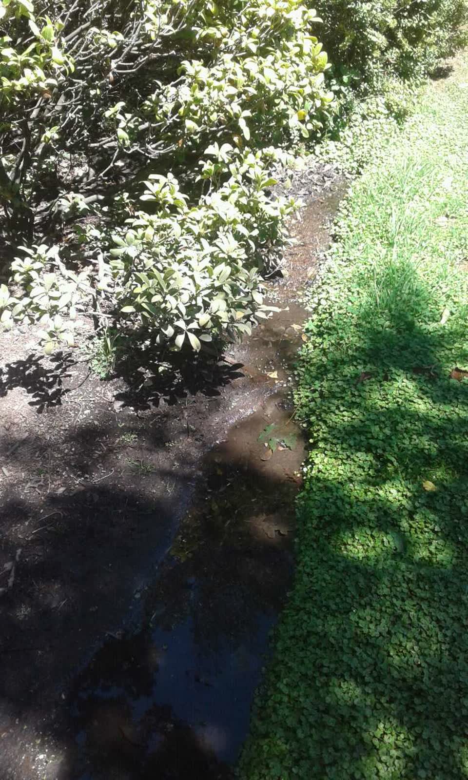 The photograph attached to this parks report