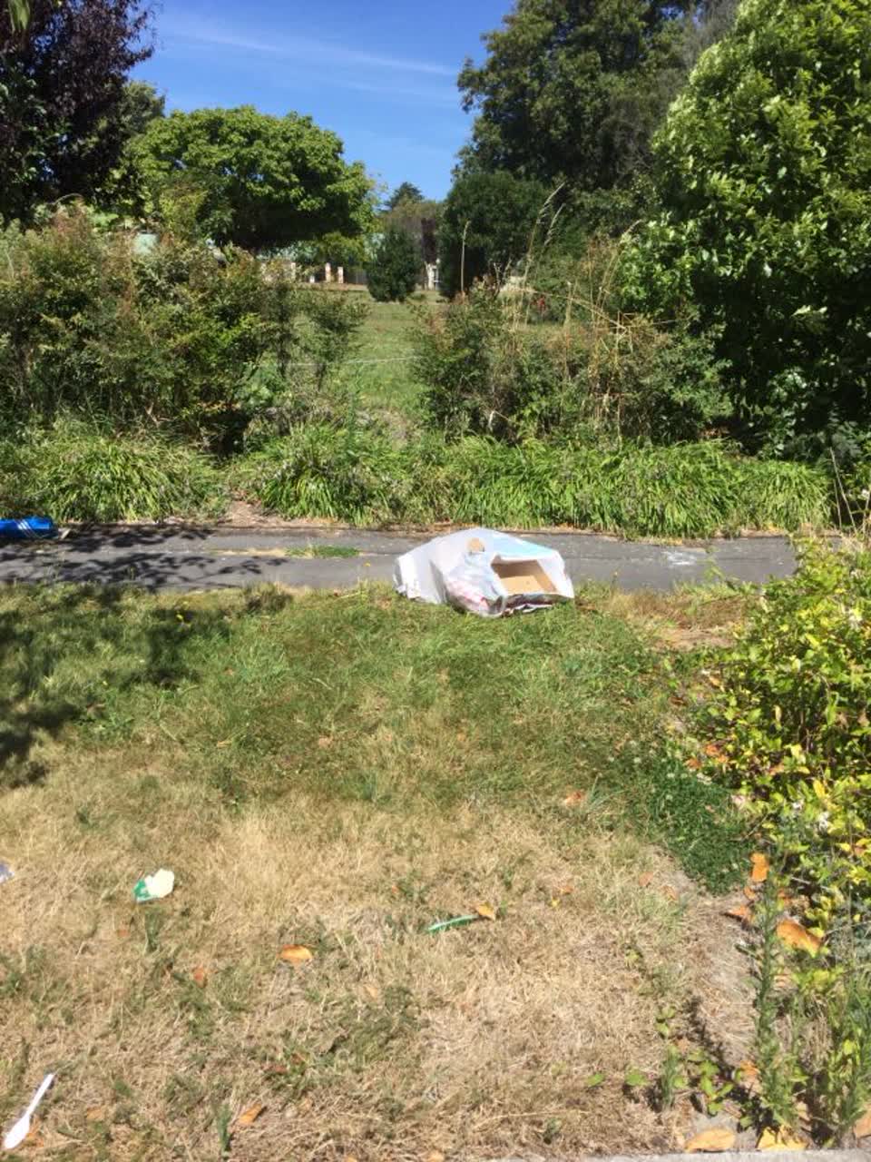 The photograph attached to this rubbish/recycling report