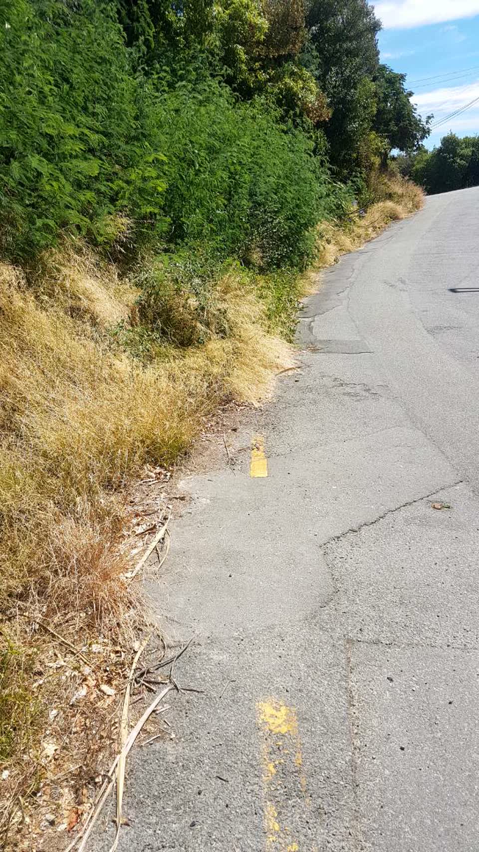 The photograph attached to this roading/streets report