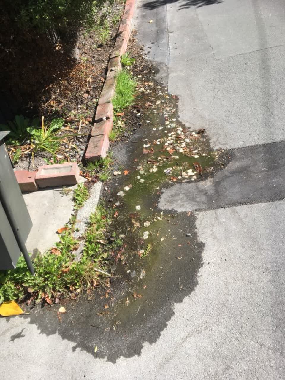 The photograph attached to this wastewater/stormwater report