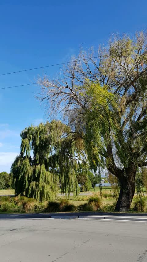 Roading/Streets, a report photo