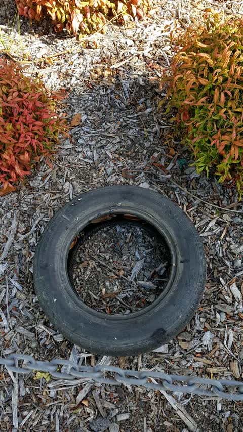 Rubbish/Recycling, a report photo