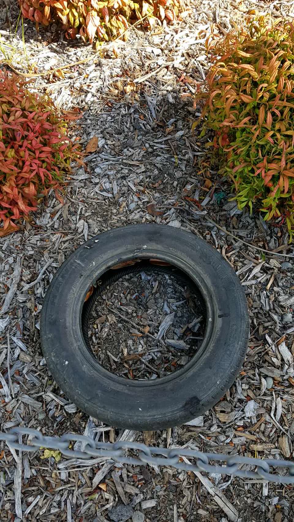 The photograph attached to this rubbish/recycling report