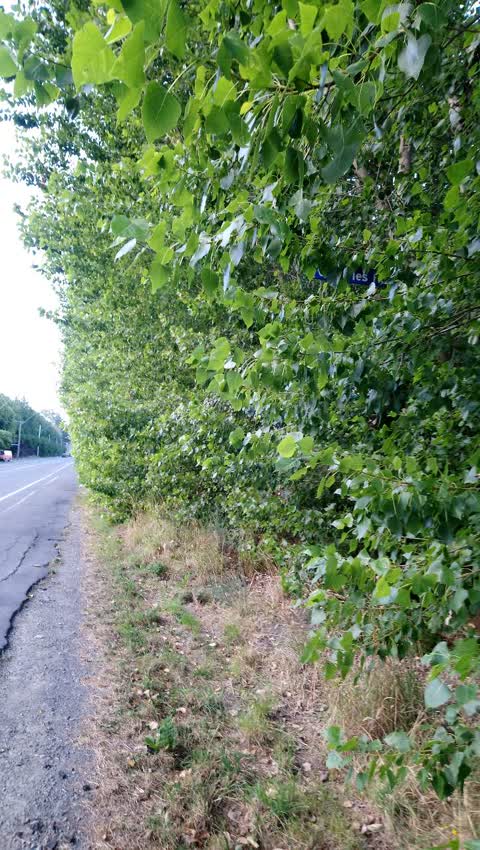 Roading/Streets, a report photo