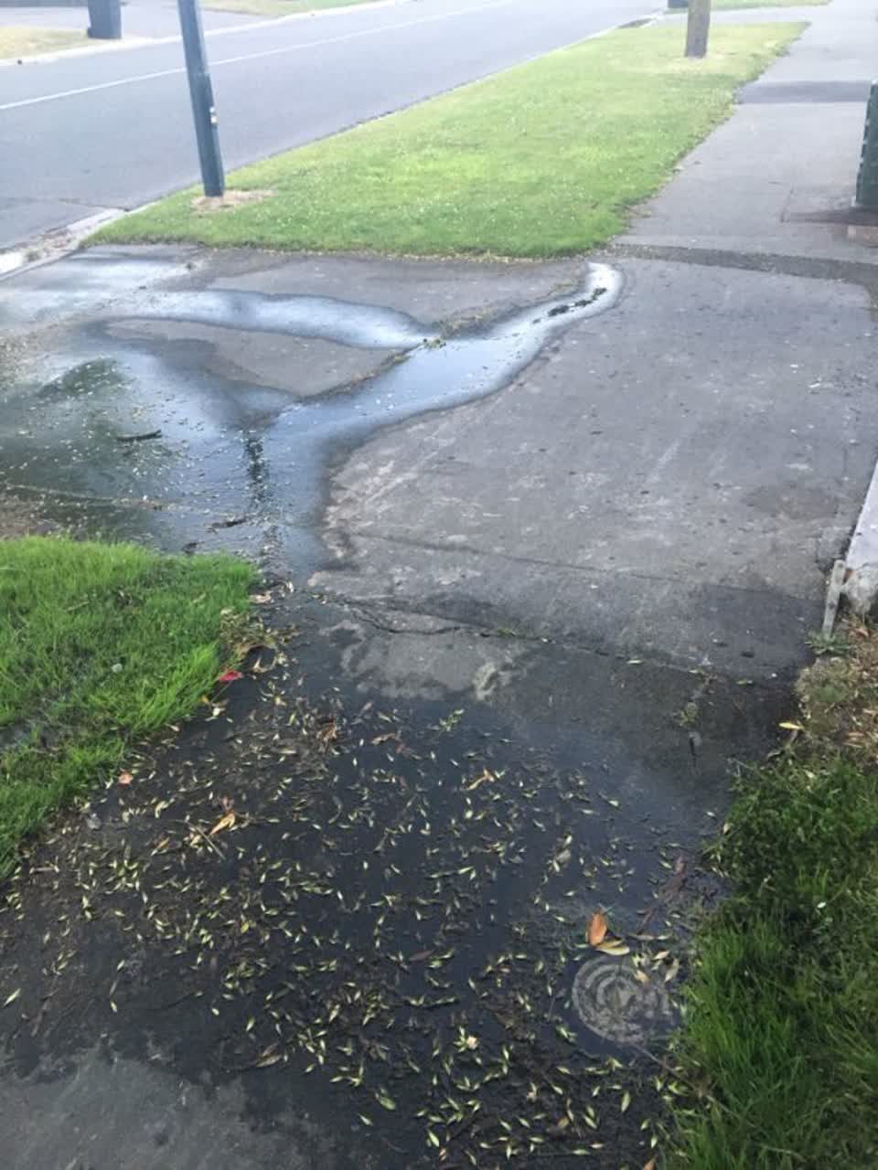 The photograph attached to this water supply report