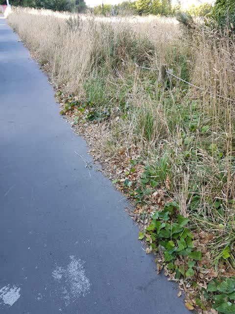 Roading/Streets, a report photo