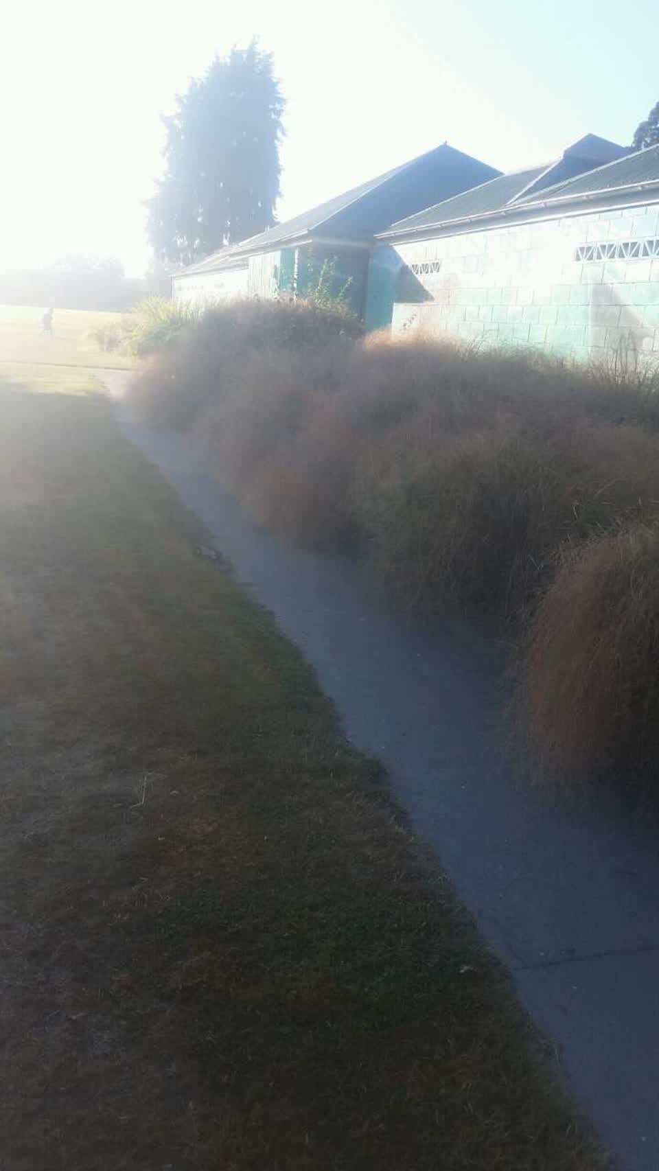 The photograph attached to this parks report