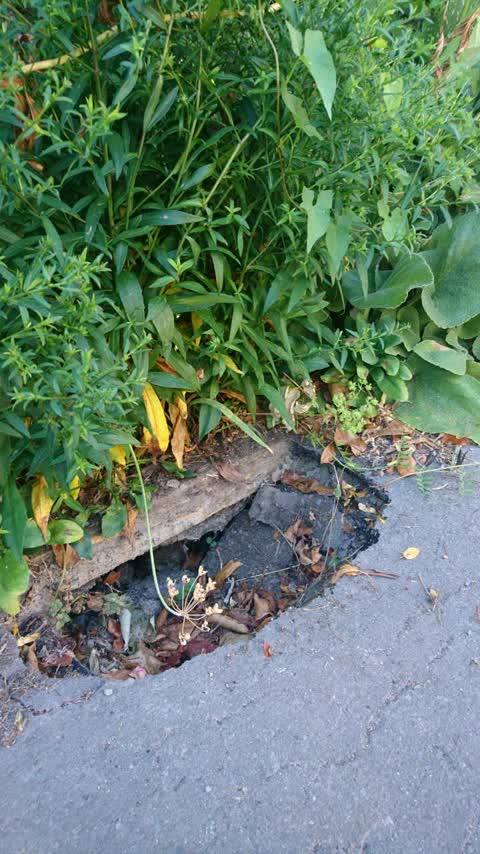 Wastewater/Stormwater, a report photo