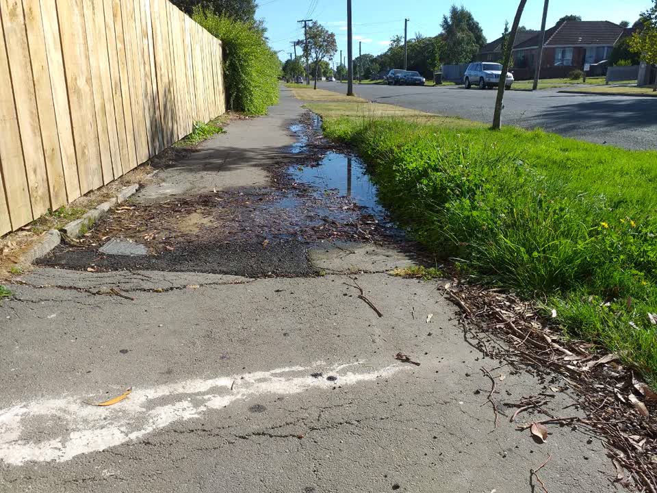 The photograph attached to this water supply report