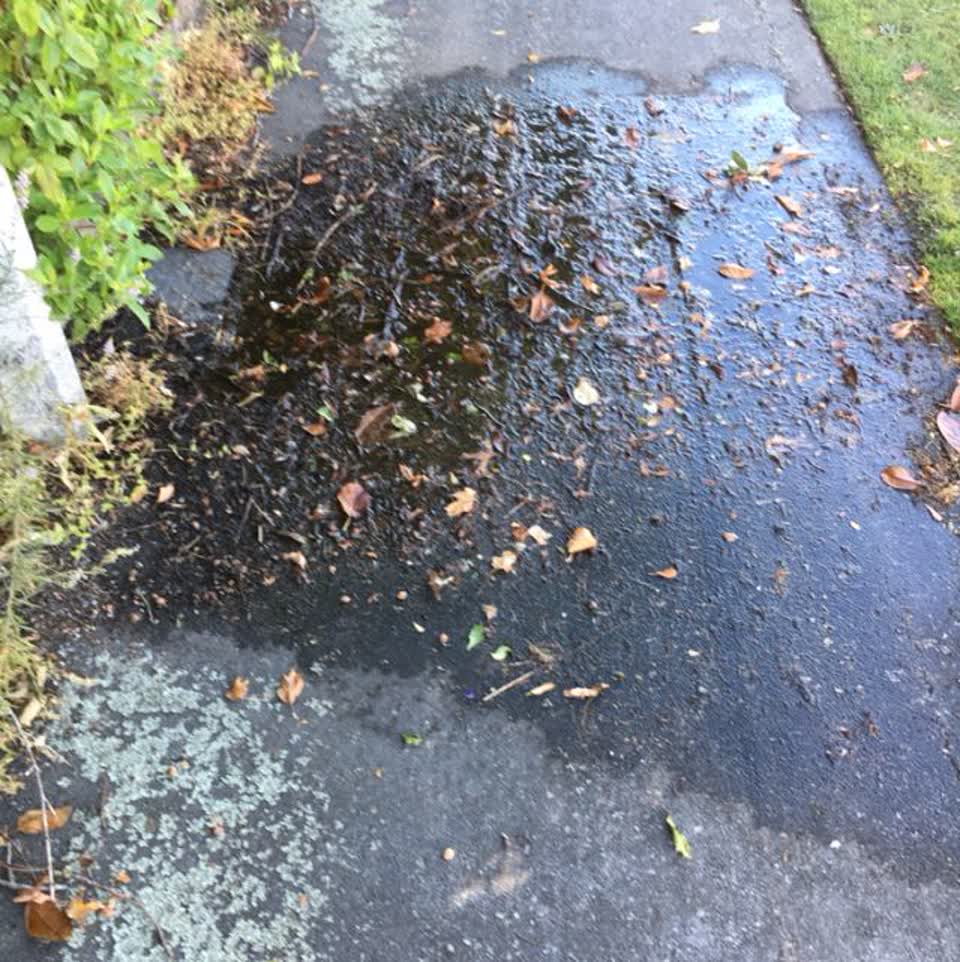 The photograph attached to this water supply report