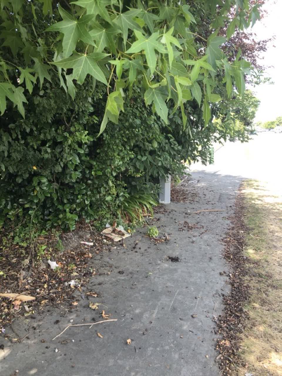 The photograph attached to this roading/streets report