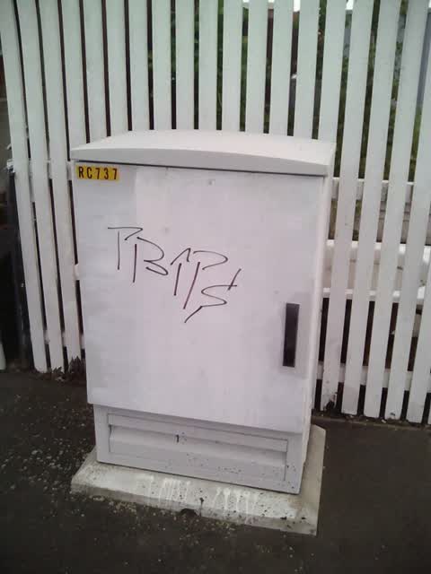 Graffiti, a report photo