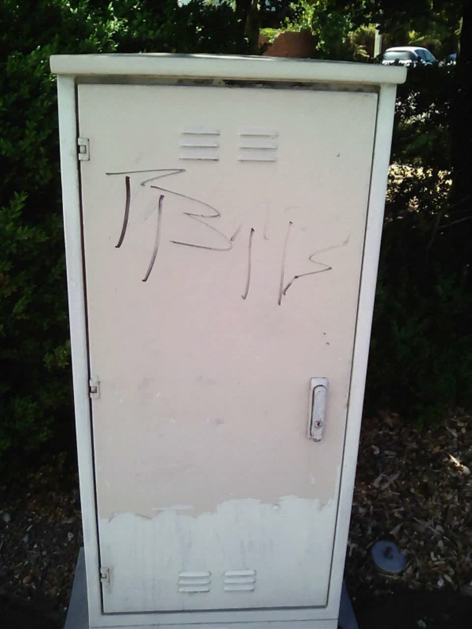 The photograph attached to this graffiti report