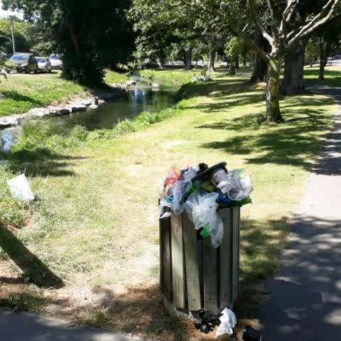 Rubbish/Recycling, a report photo