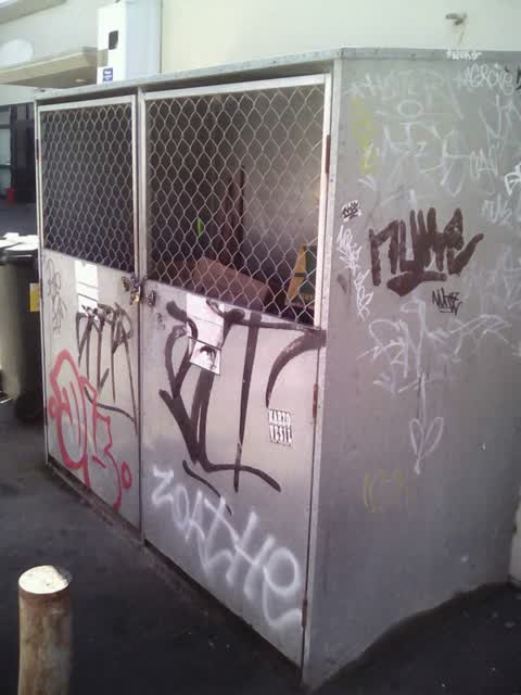 Graffiti, a report photo