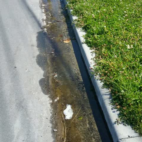 Water Supply, a report photo