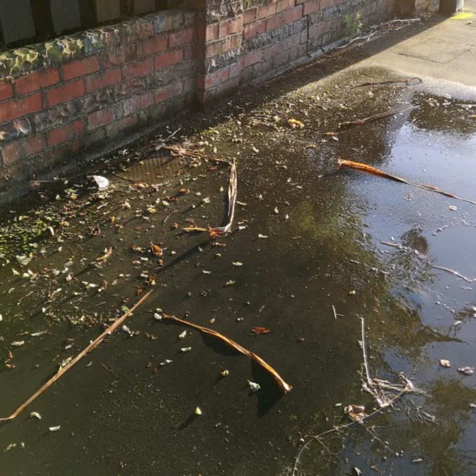 The photograph attached to this water supply report