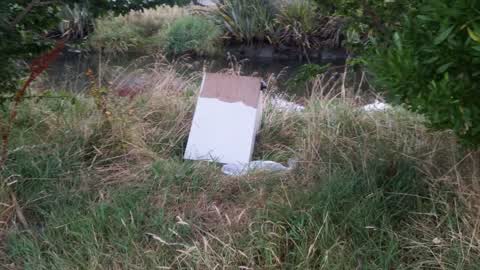 Rubbish/Recycling, a report photo