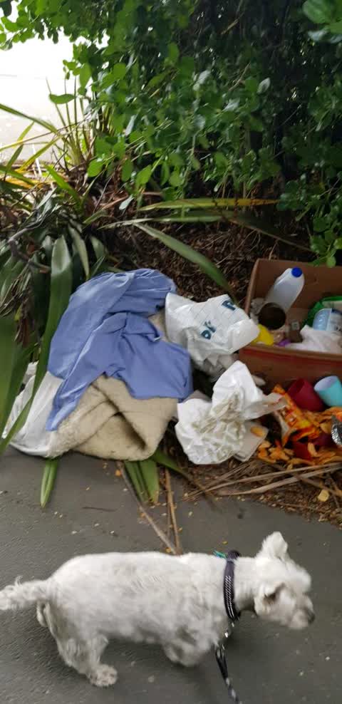 Rubbish/Recycling, a report photo