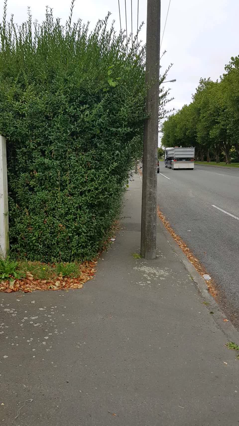 The photograph attached to this roading/streets report